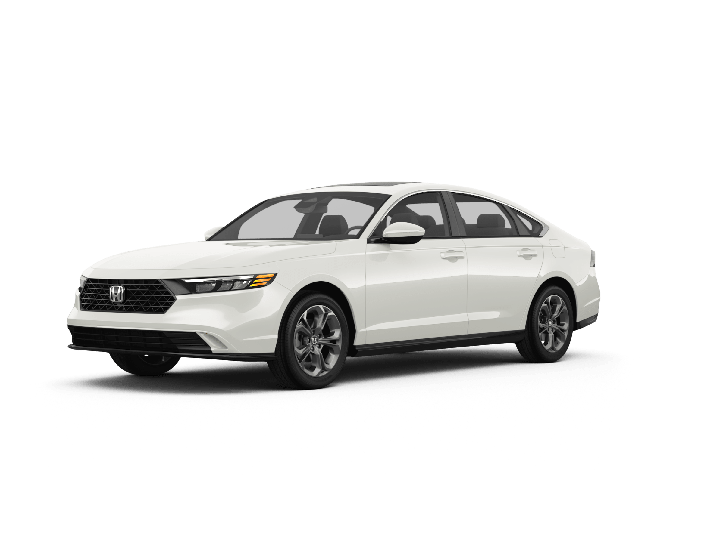 2024 Honda Accord EX-L -
                Tampa, FL