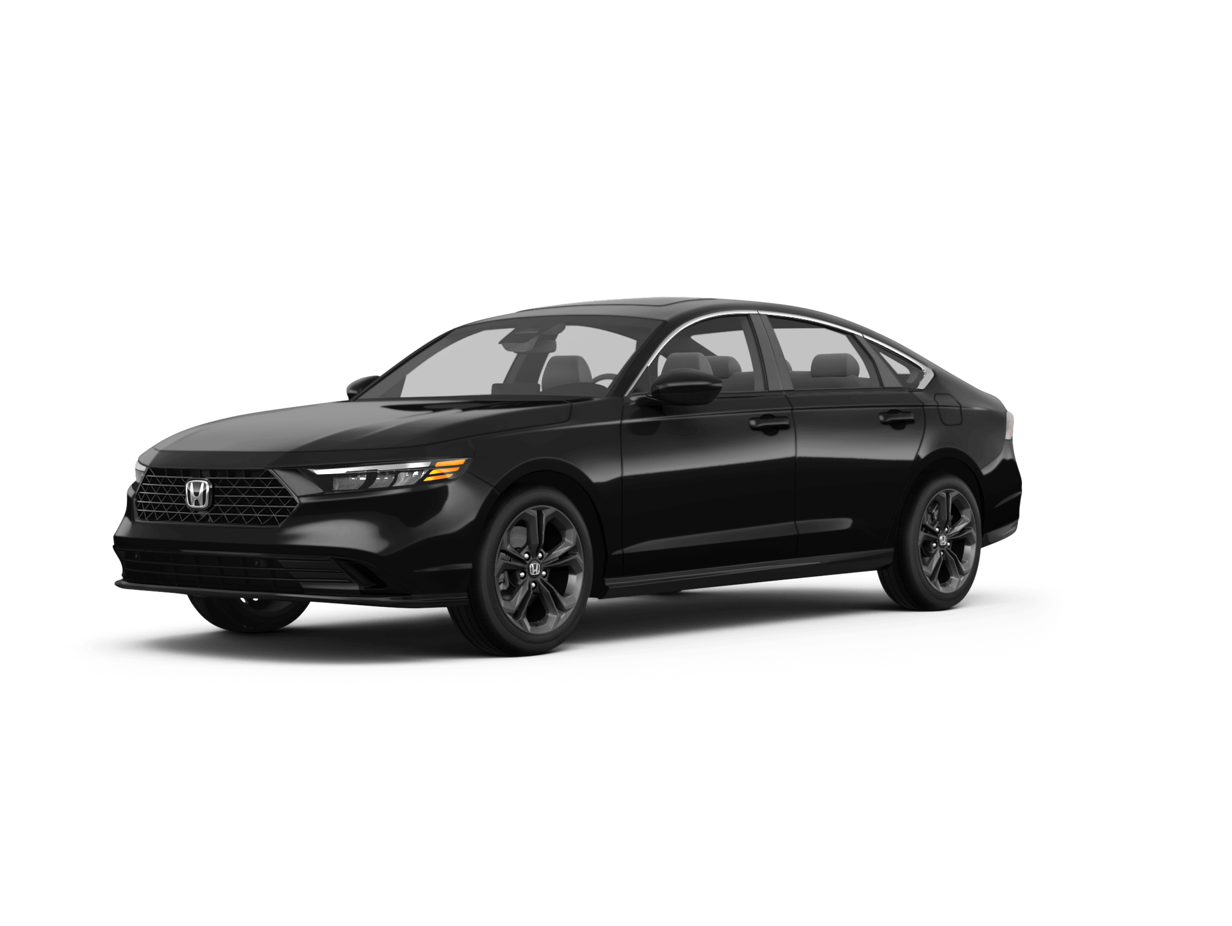 2024 Honda Accord EX-L -
                Tampa, FL