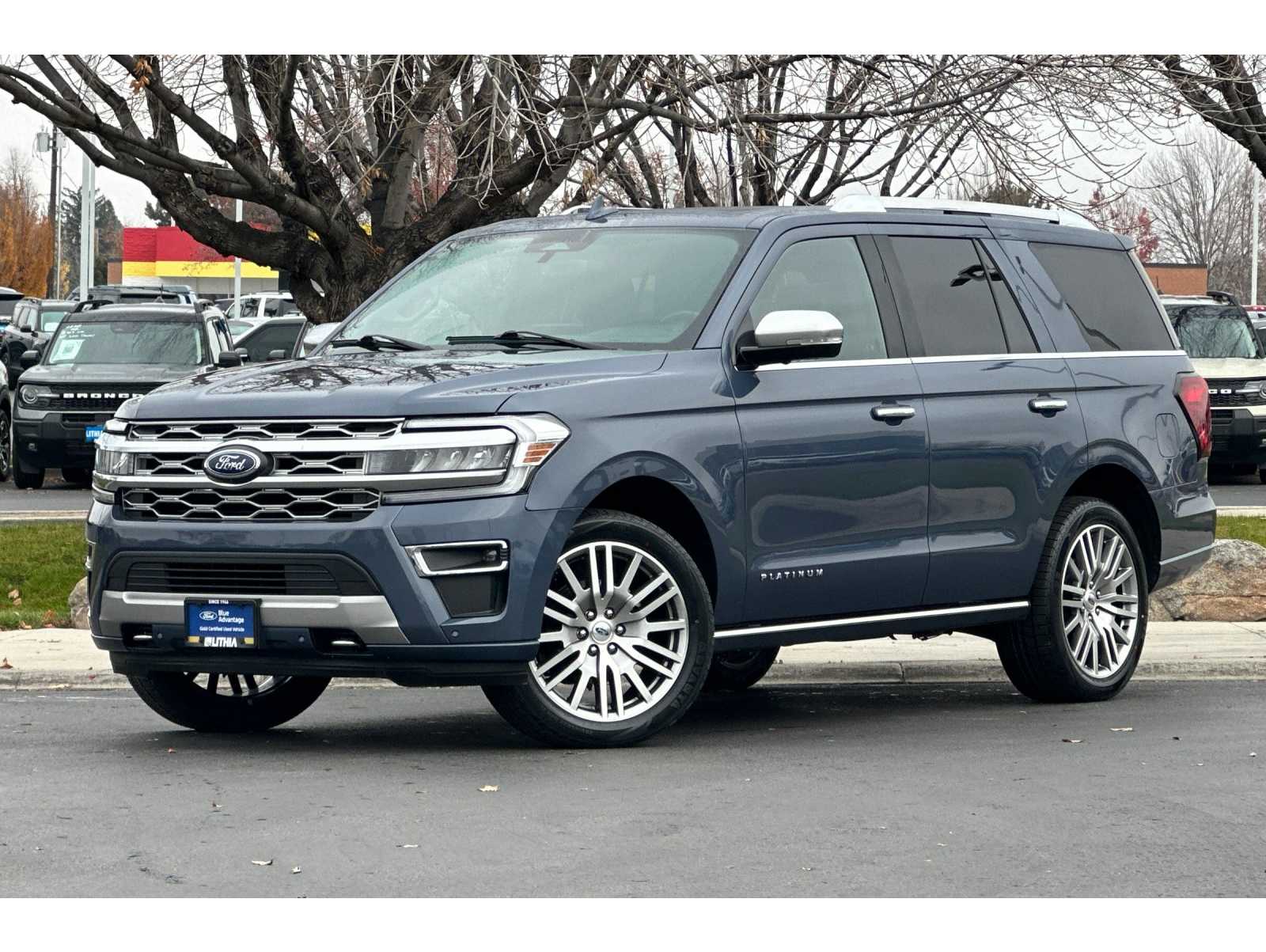 2023 Ford Expedition Platinum's photo