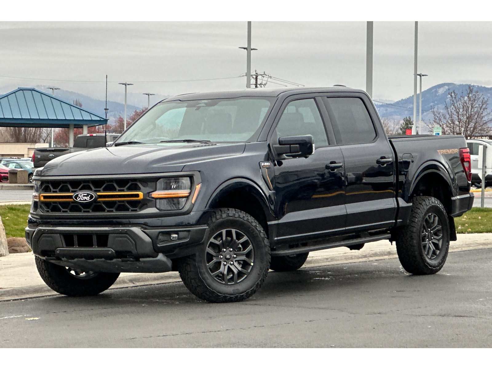 2025 Ford F-150 Tremor's photo