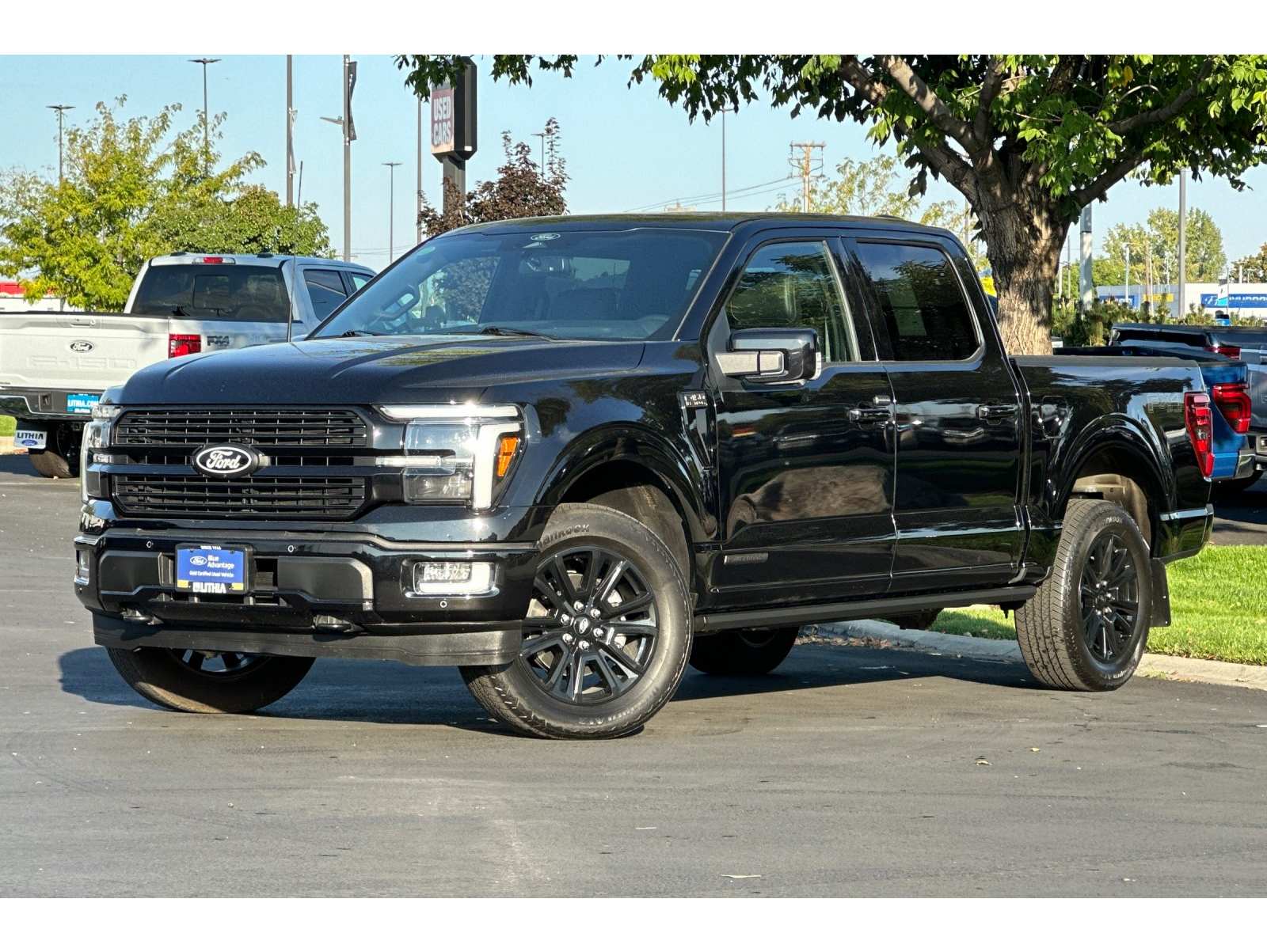 2025 Ford F-150 Platinum's photo