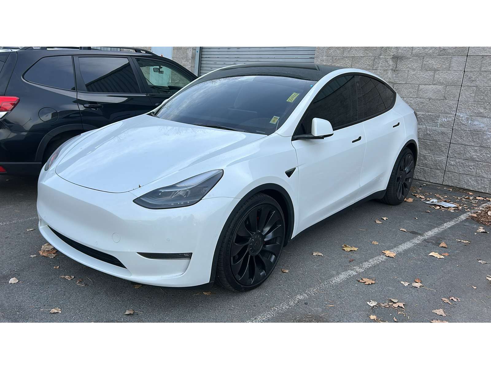 2022 Tesla Model Y Performance's photo