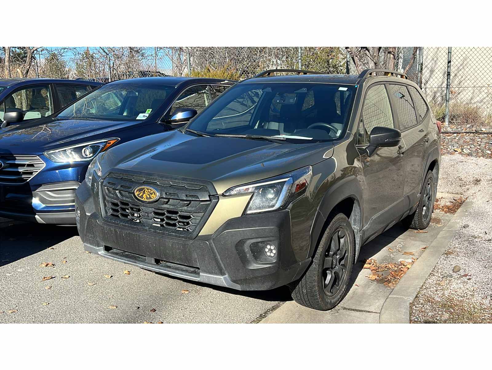 2024 Subaru Forester Wilderness's photo