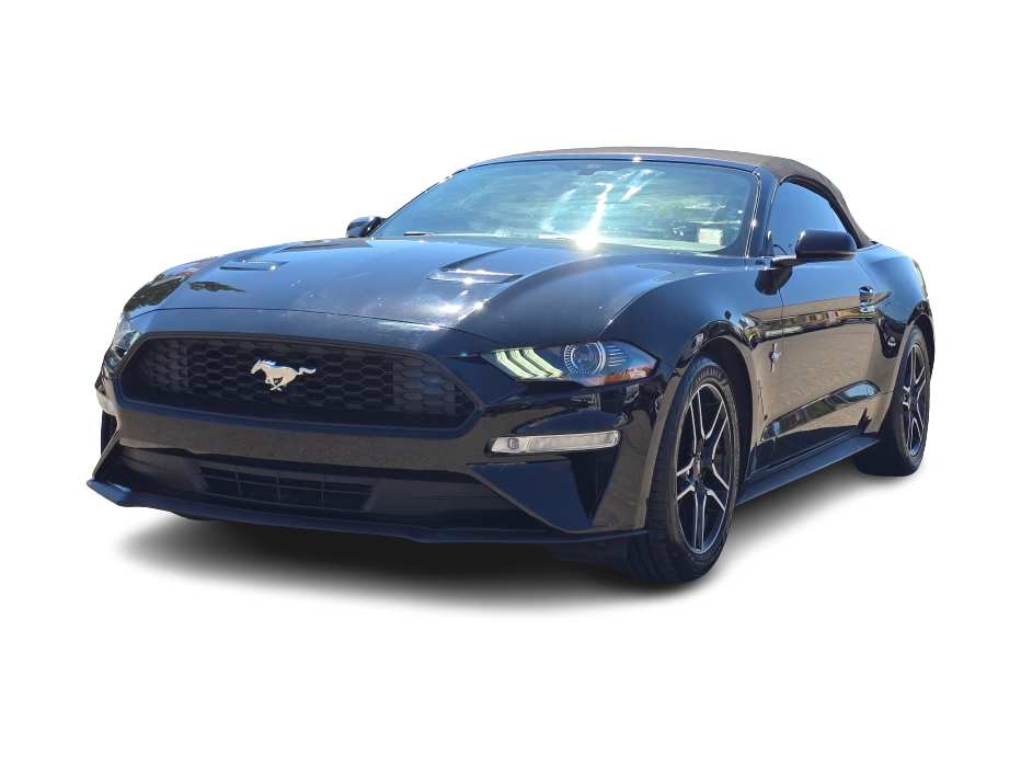 Thumbnail: 2019 Ford Mustang - 1