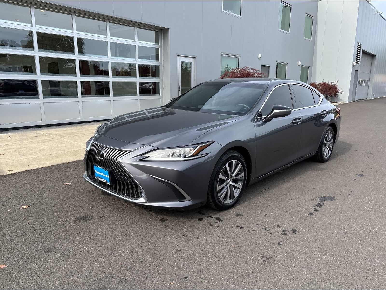 2019 Lexus ES