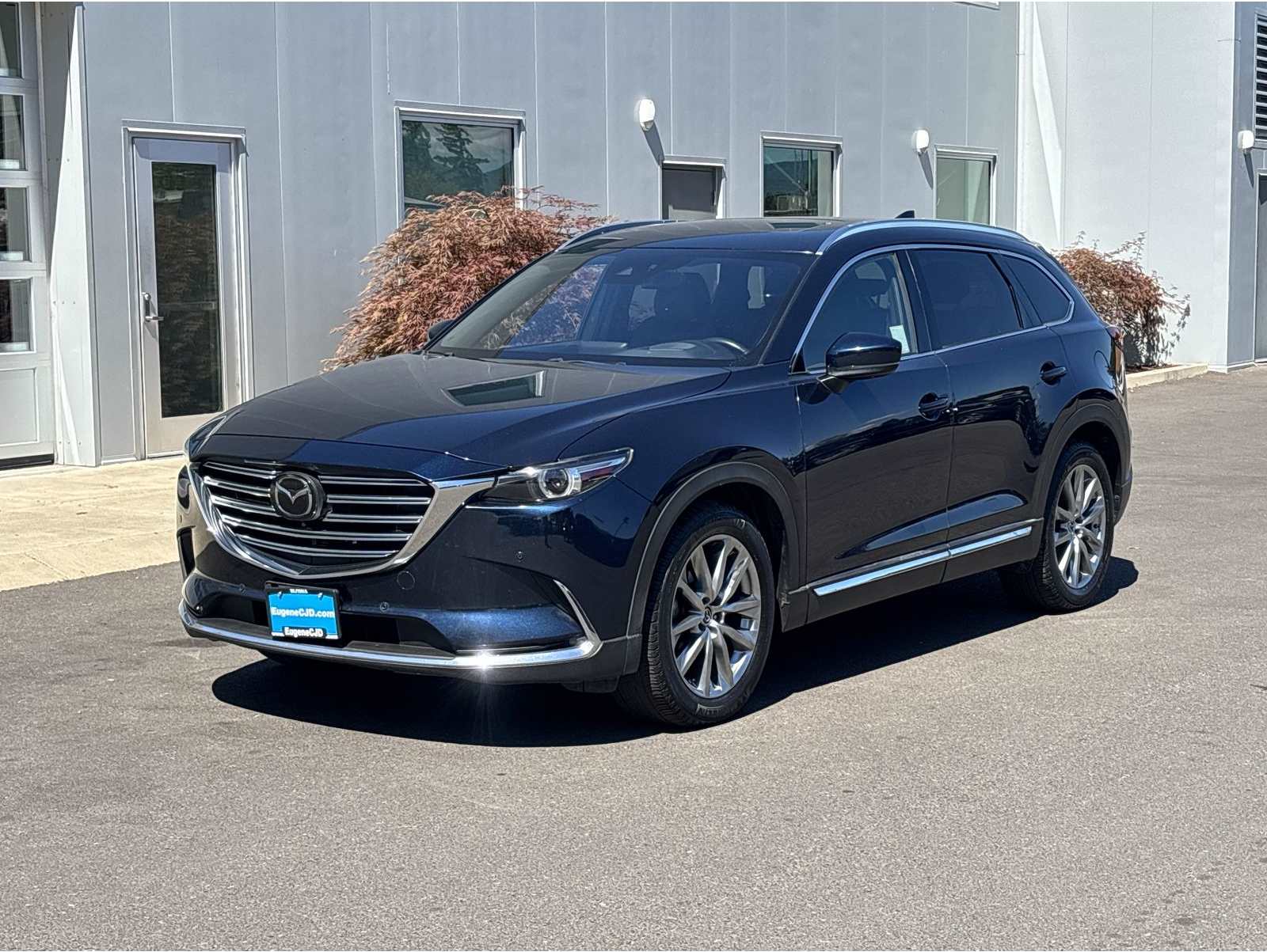 2019 Mazda CX-9