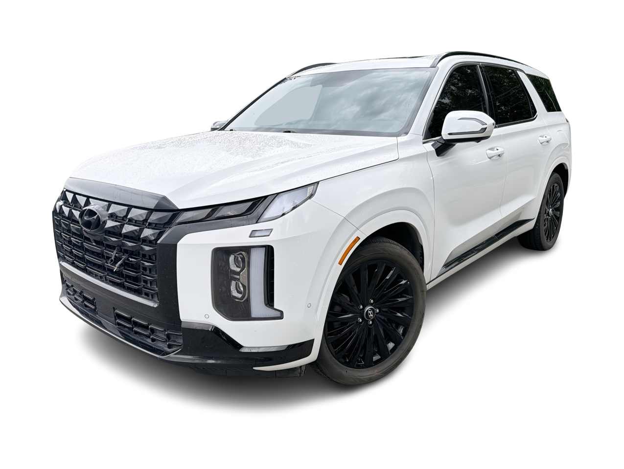 Thumbnail: 2025 Hyundai Palisade - 1