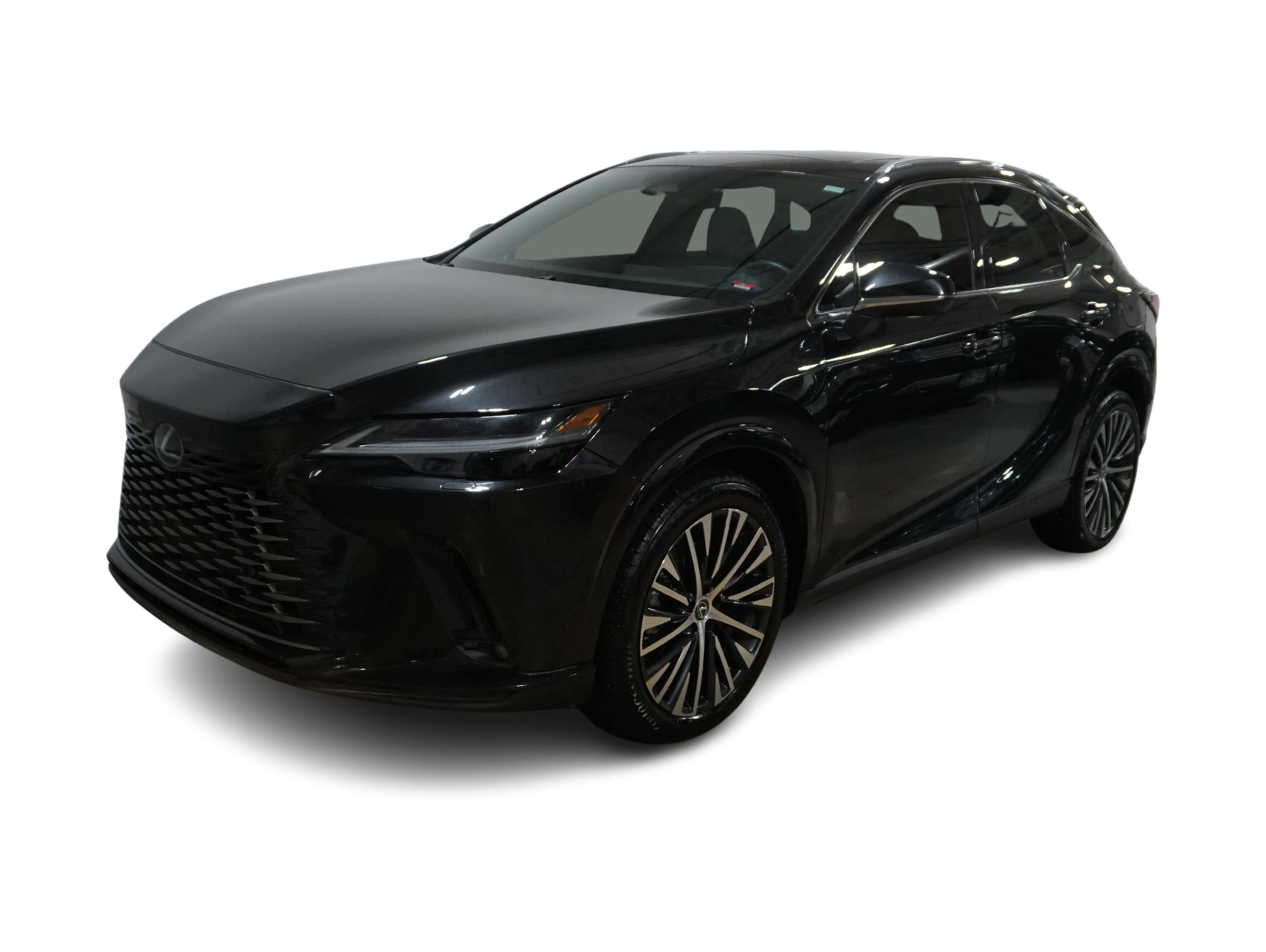 2023 Lexus RX 350 Premium Hero Image