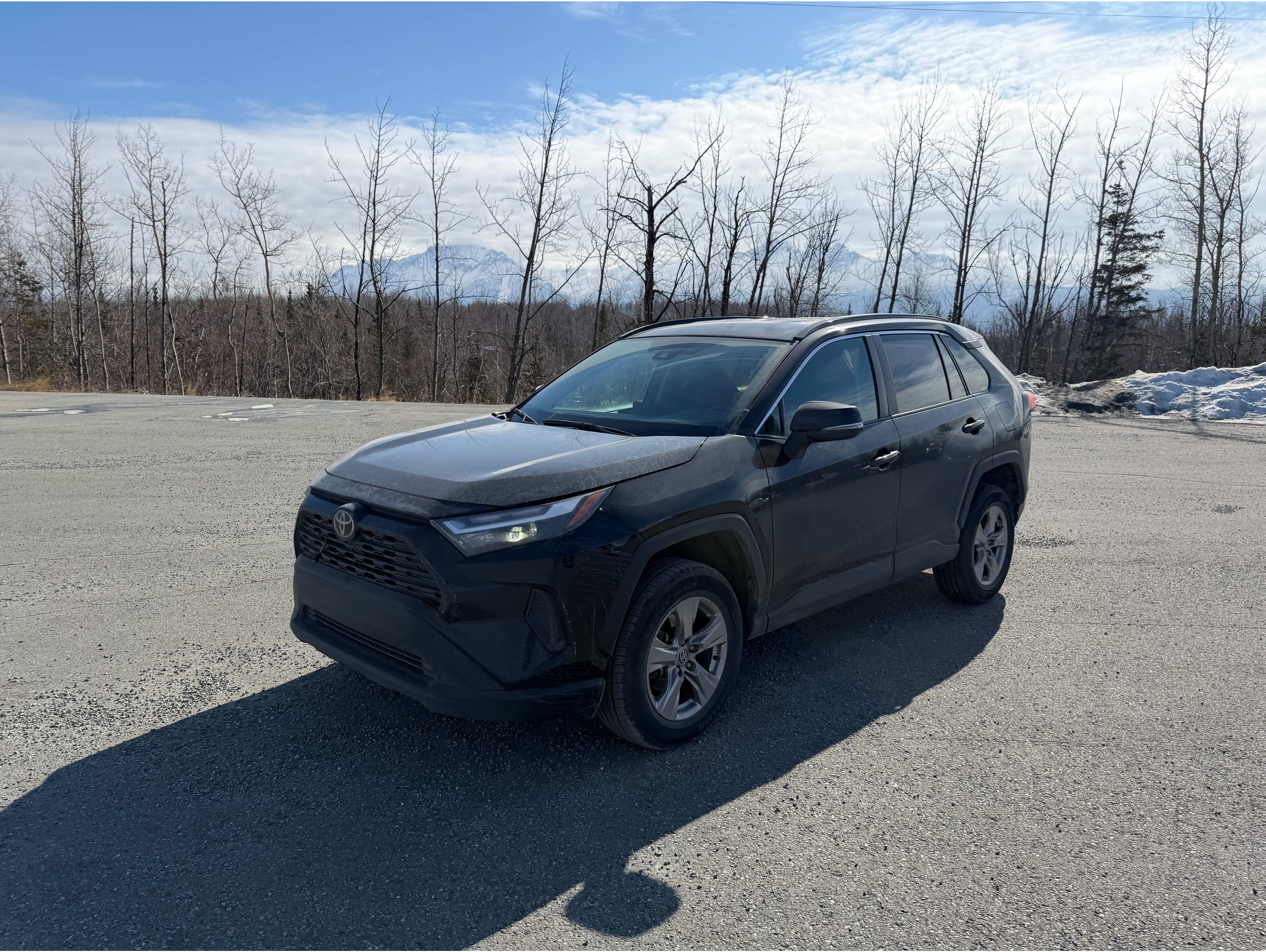 2023 Toyota RAV4