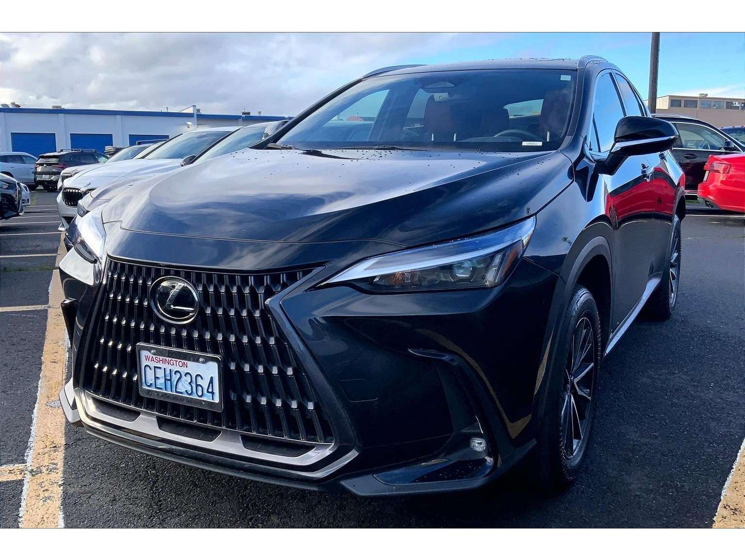 2022 Lexus NX 350's photo