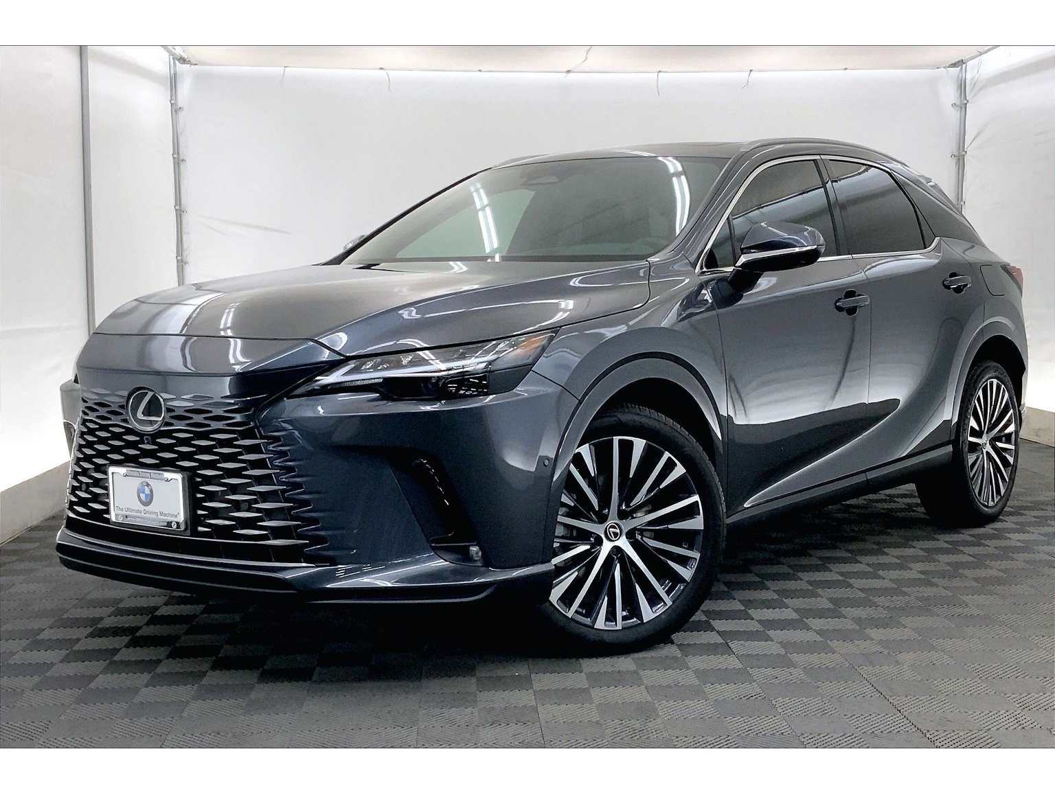2025 Lexus RX Hybrid 350h's photo