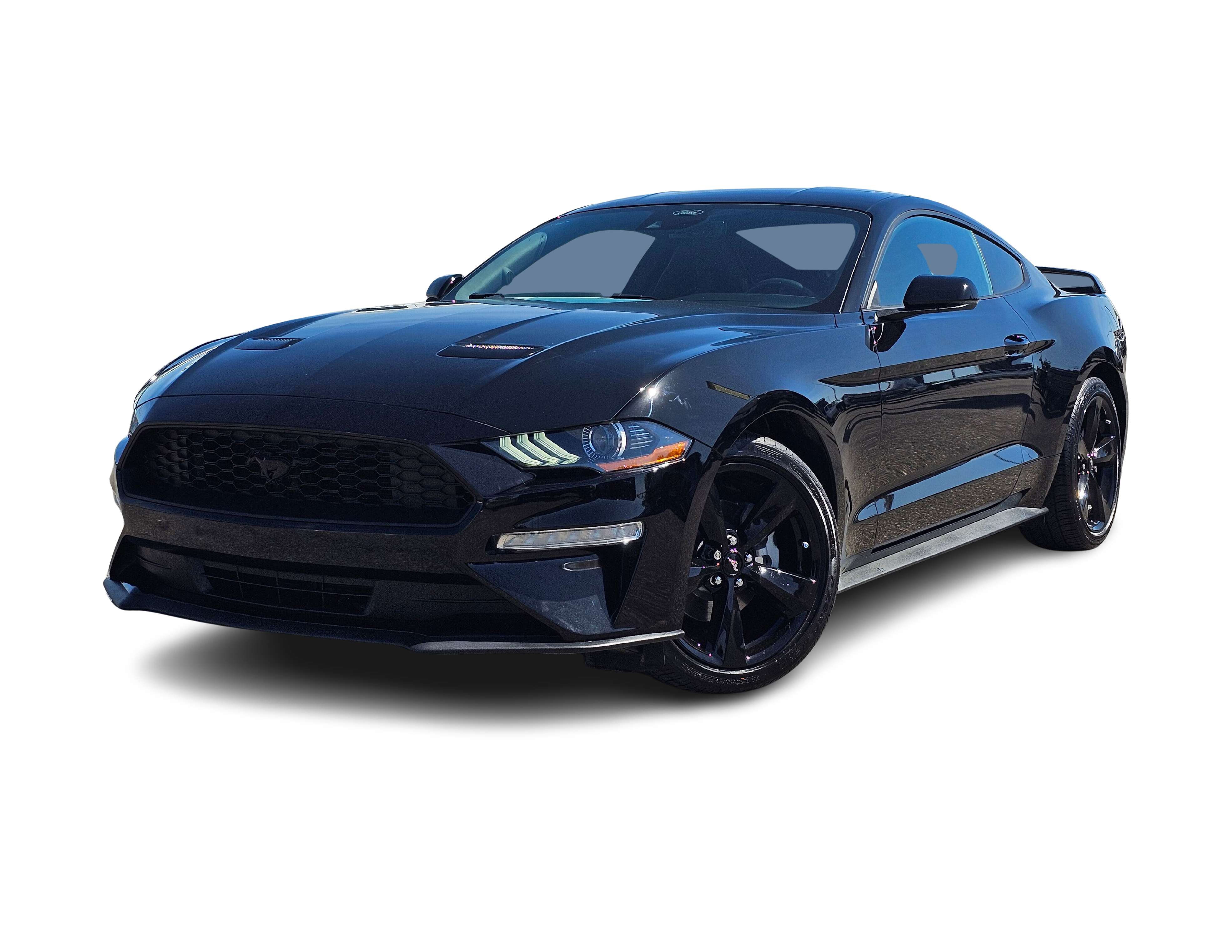 2023 Ford Mustang  Hero Image