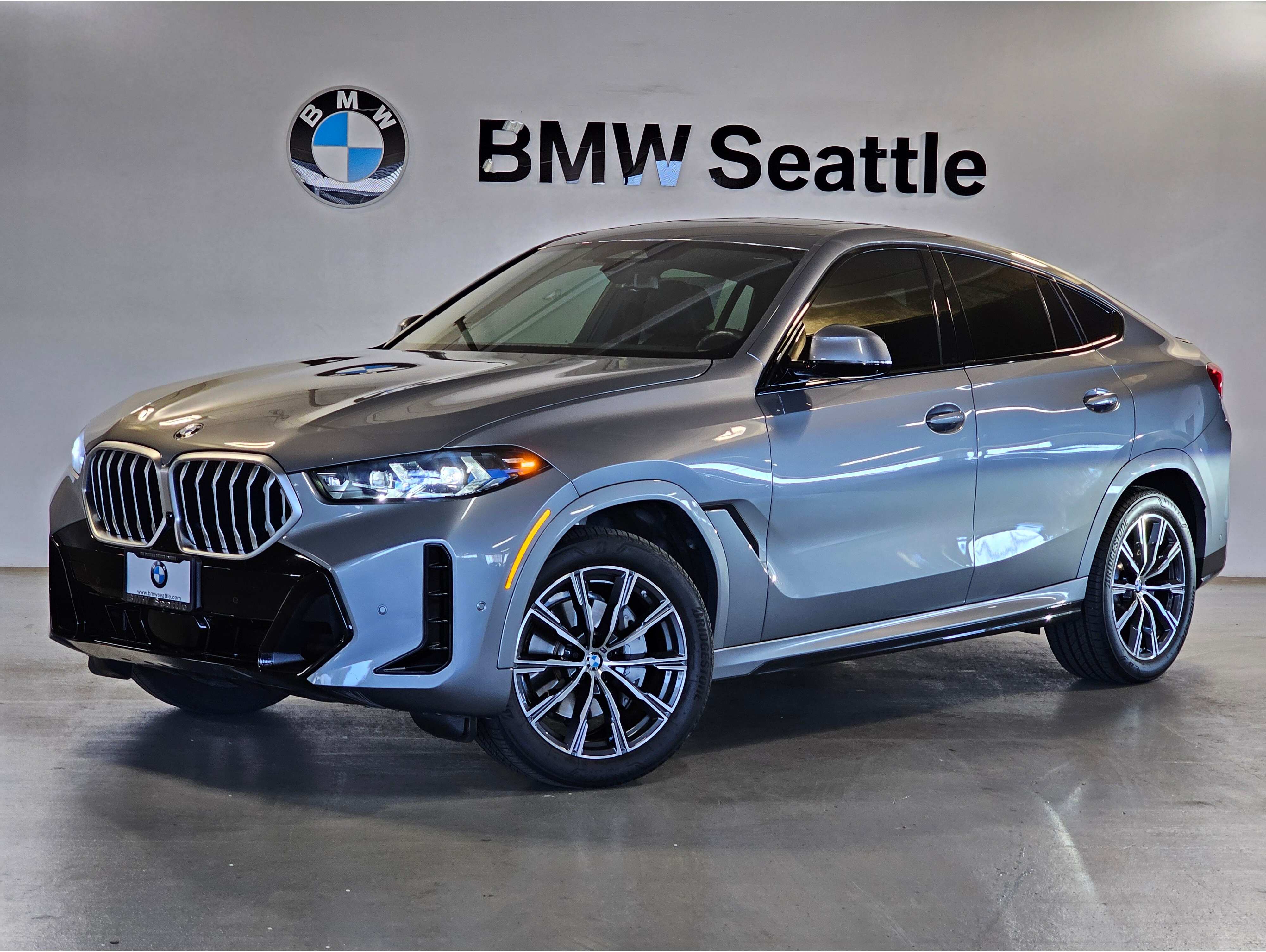 2025 BMW X6