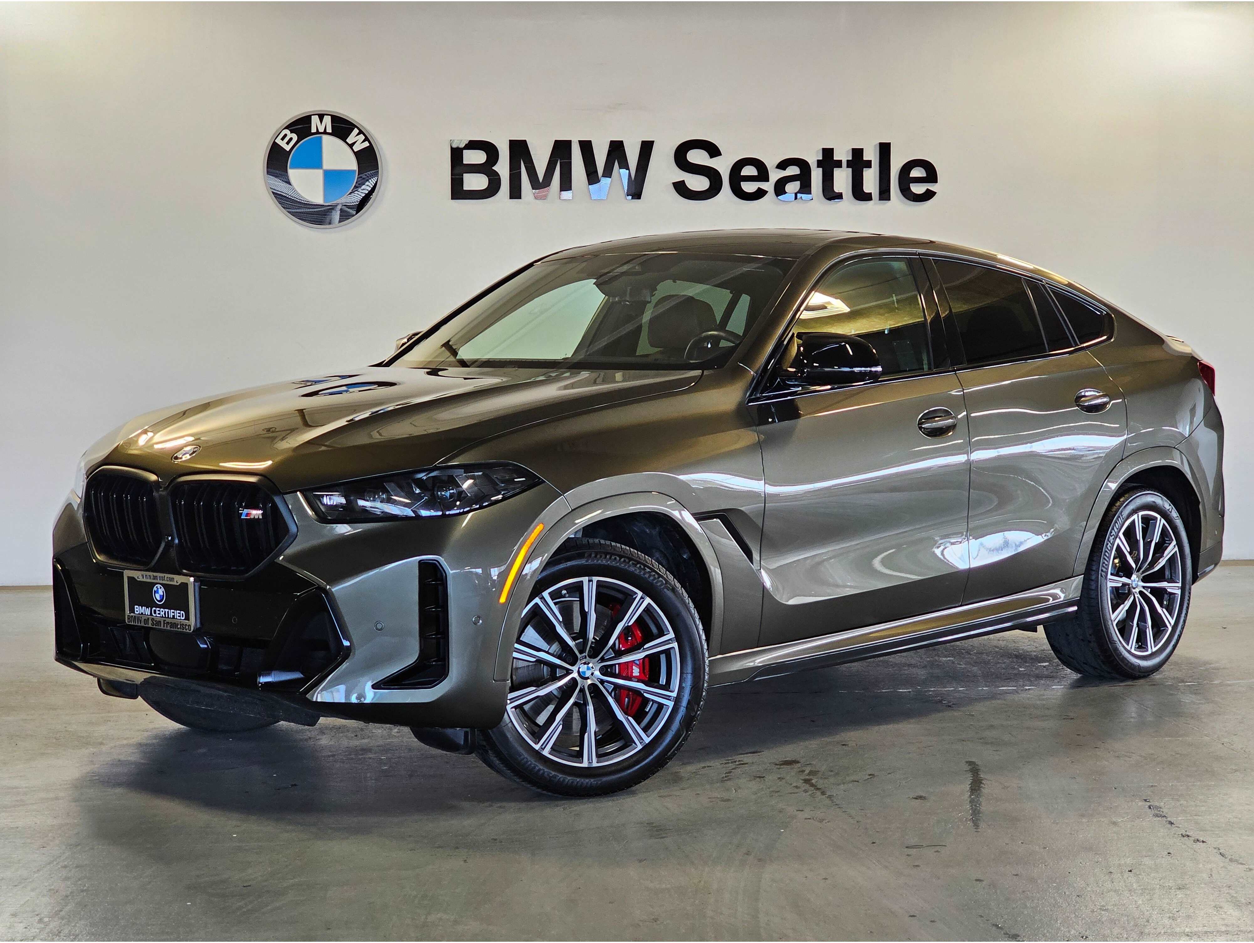 2024 BMW X6
