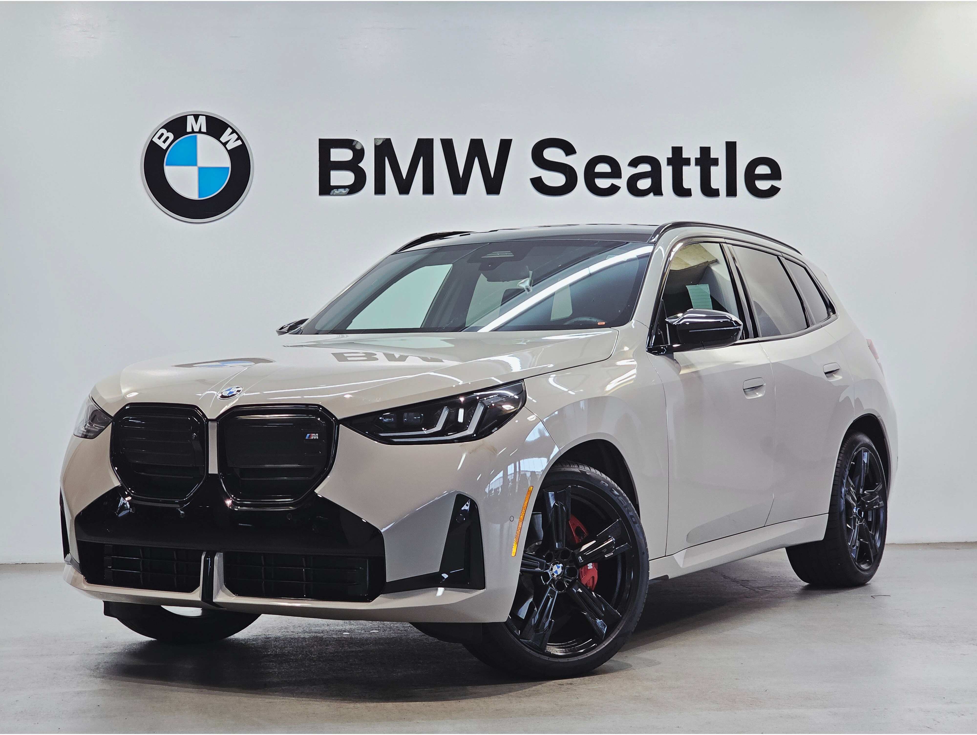 2025 BMW X3 M50's photo