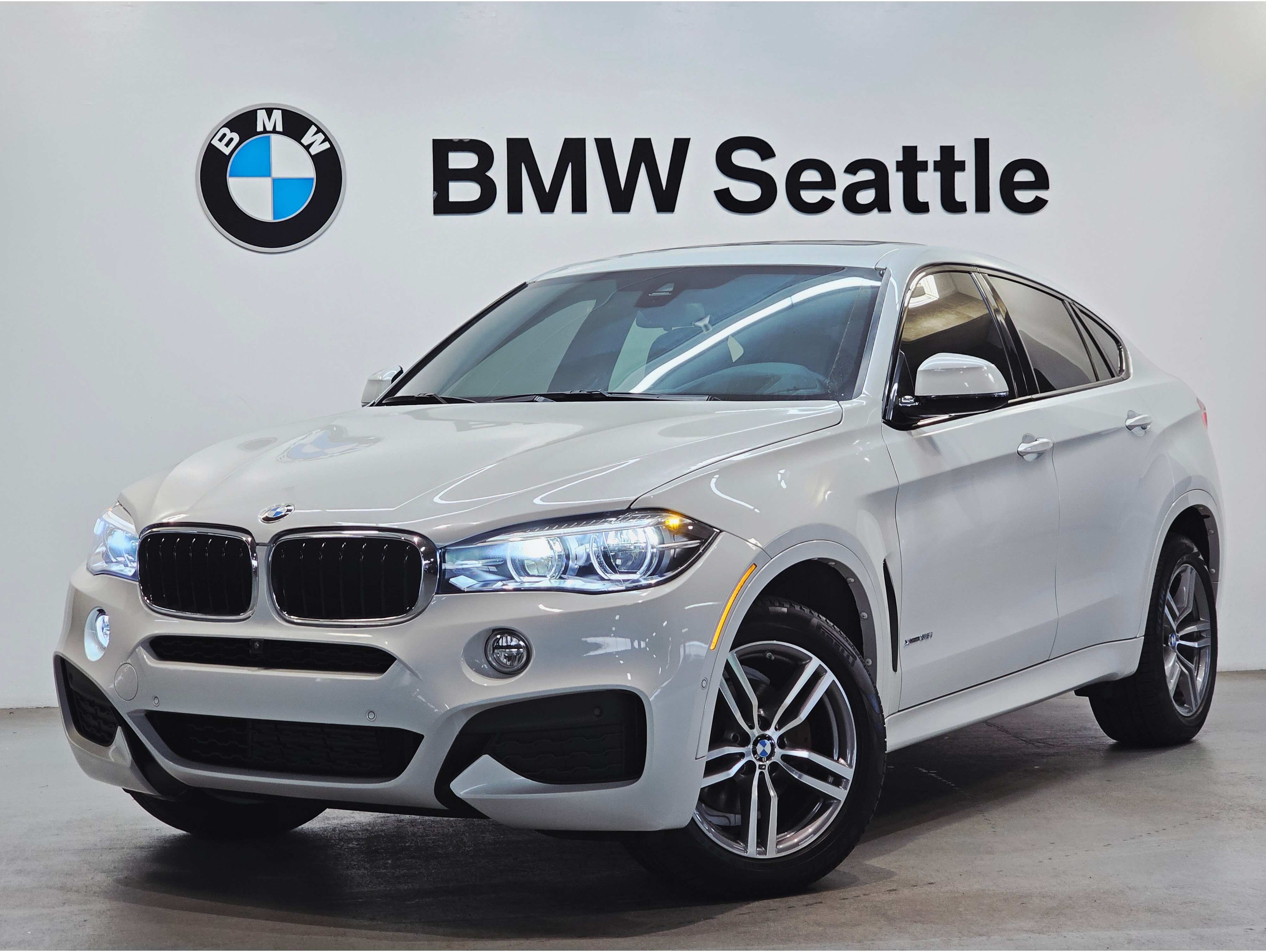 2019 BMW X6 35i's photo