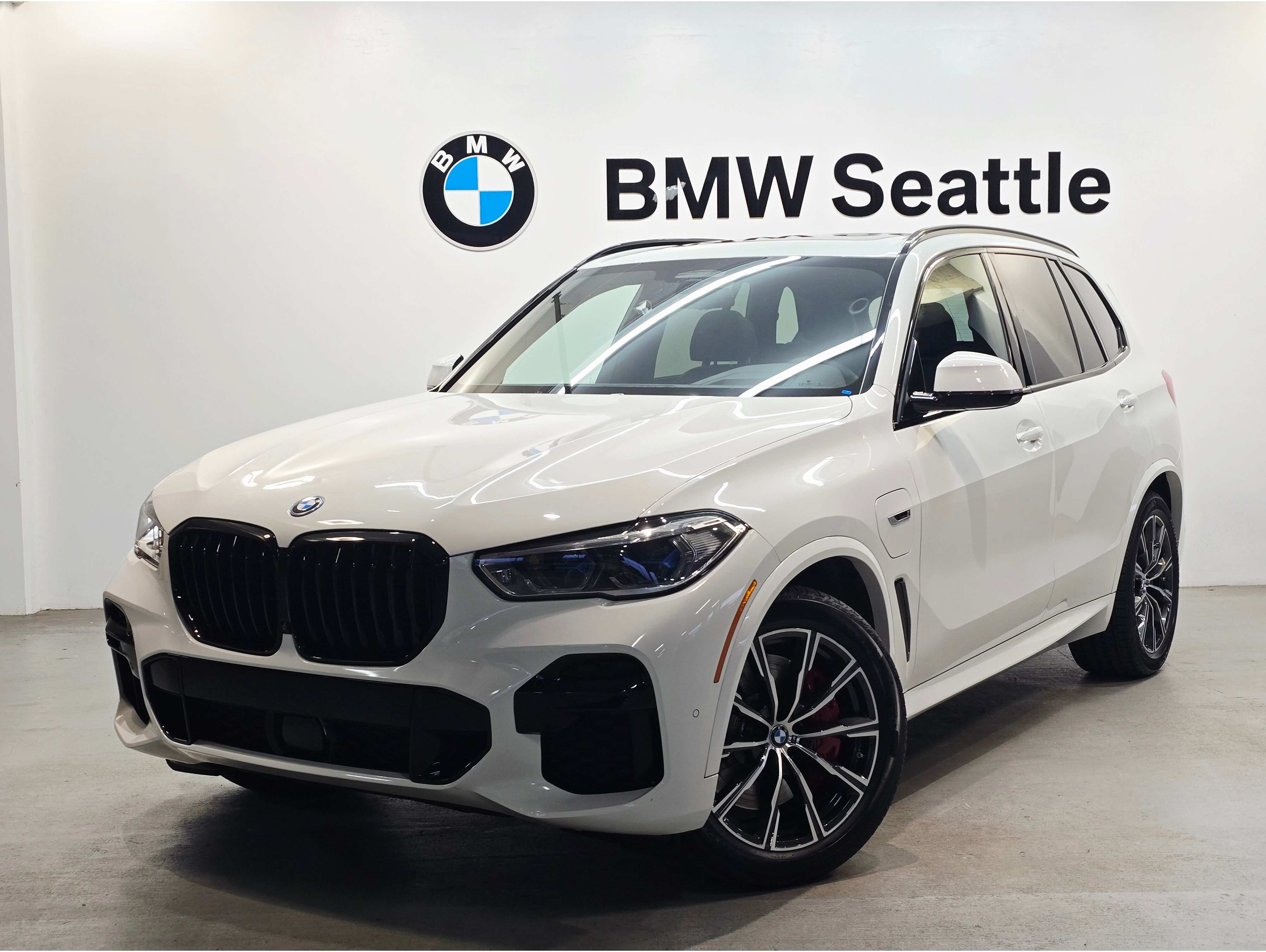 2023 BMW X5 45e's photo