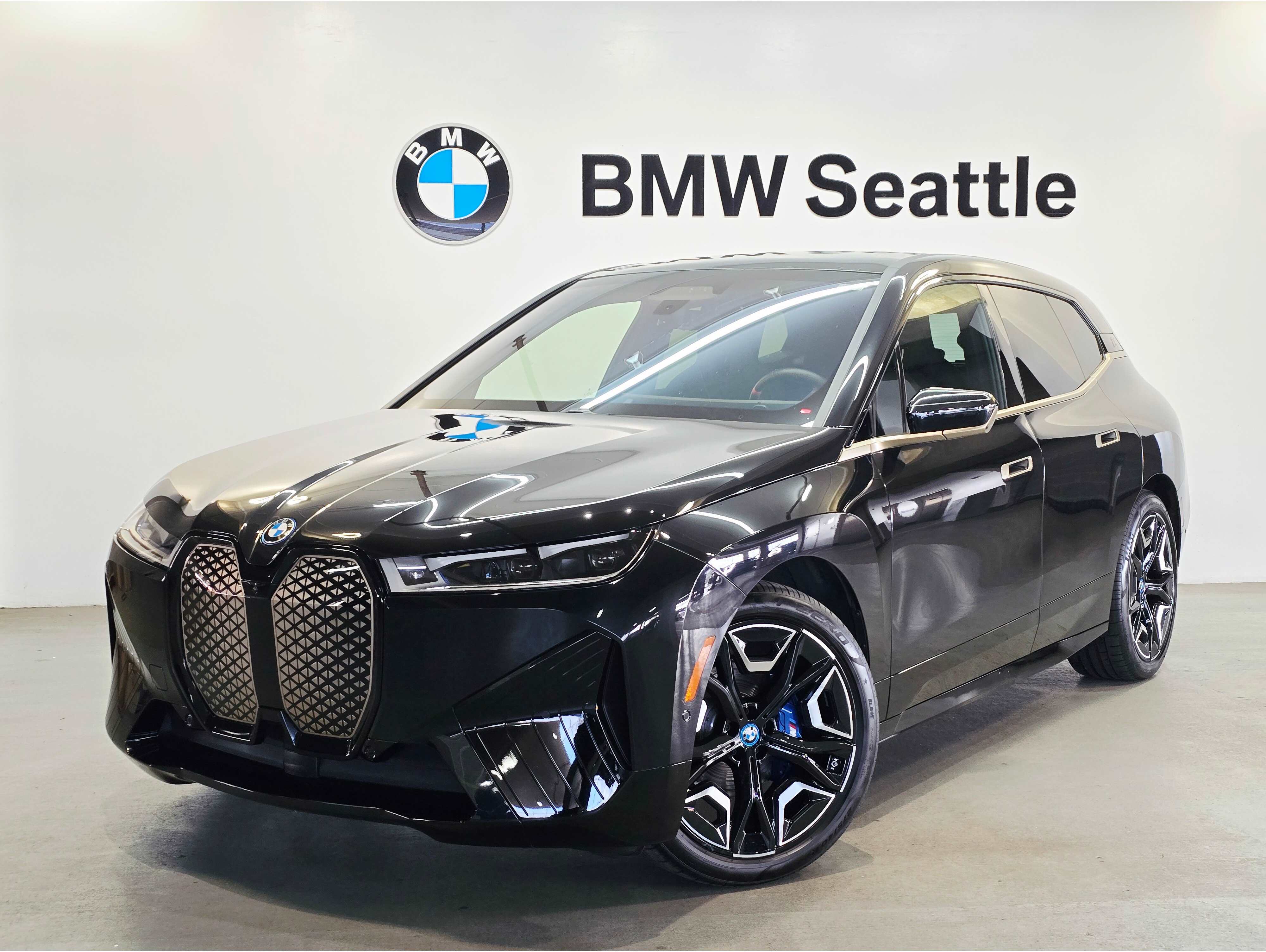 2025 BMW iX M60's photo