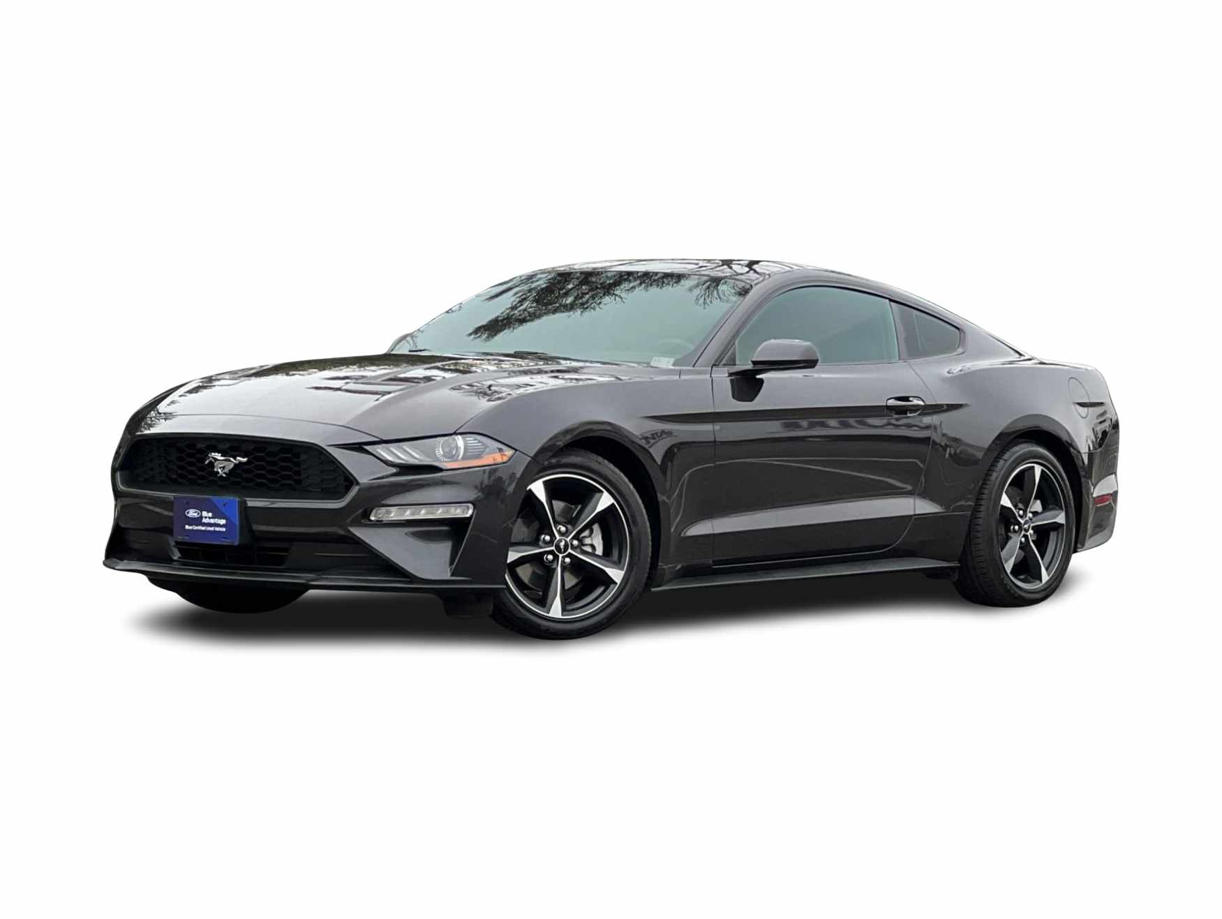Thumbnail: 2023 Ford Mustang - 1