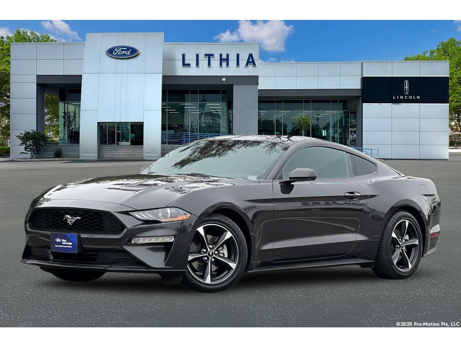 2023 Ford Mustang EcoBoost's photo