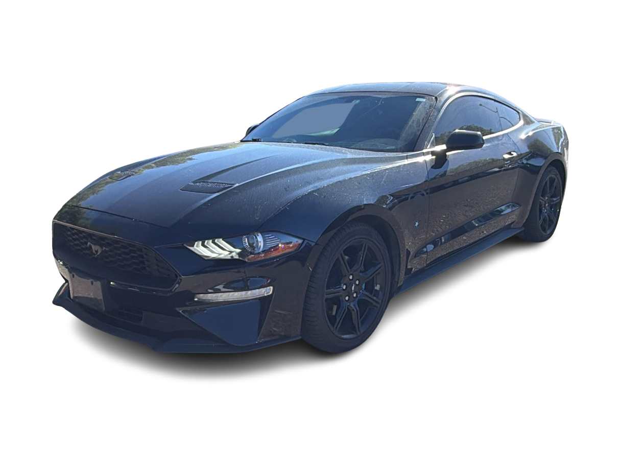 Thumbnail: 2019 Ford Mustang - 1