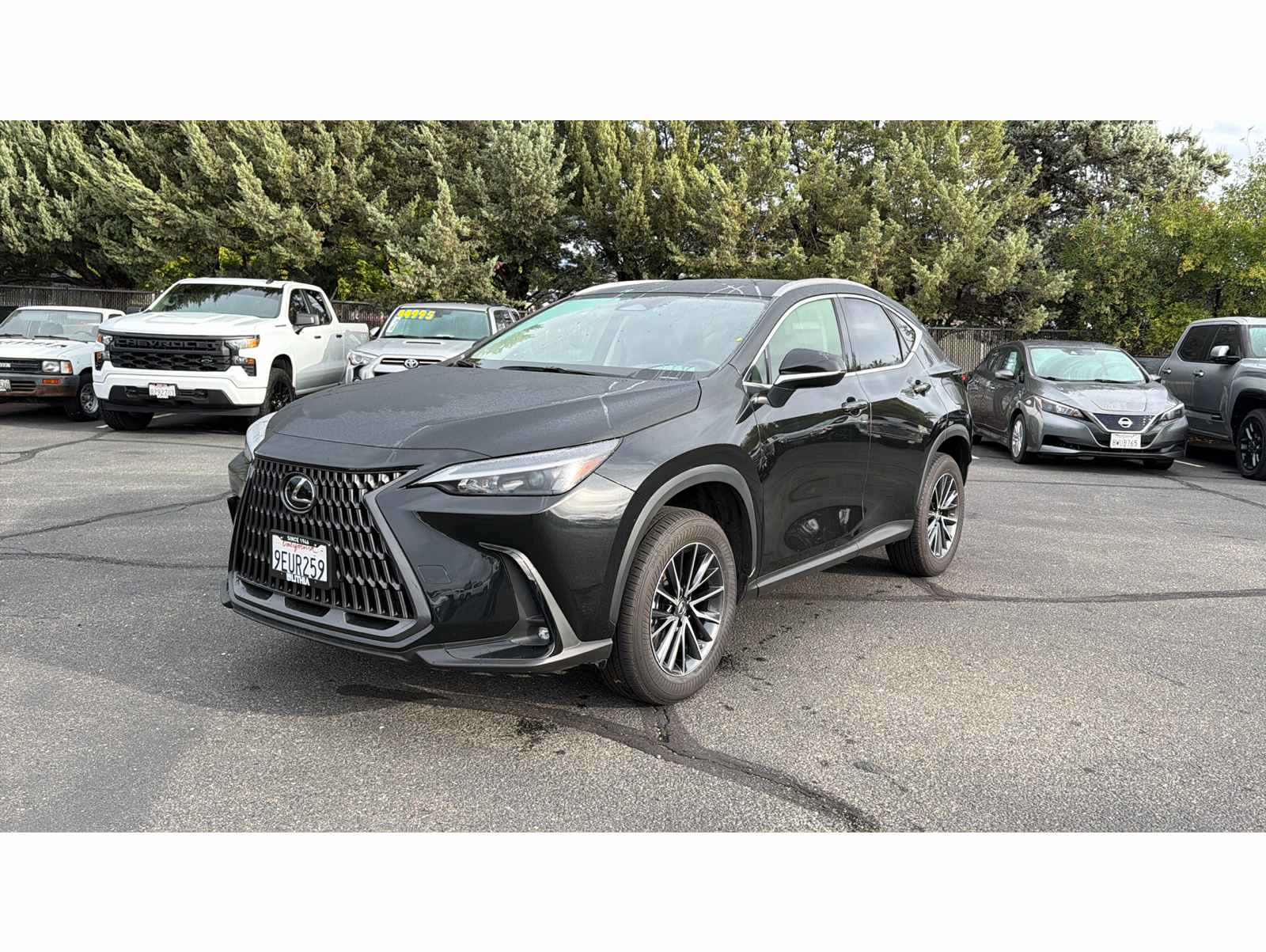 2023 Lexus NX 250's photo