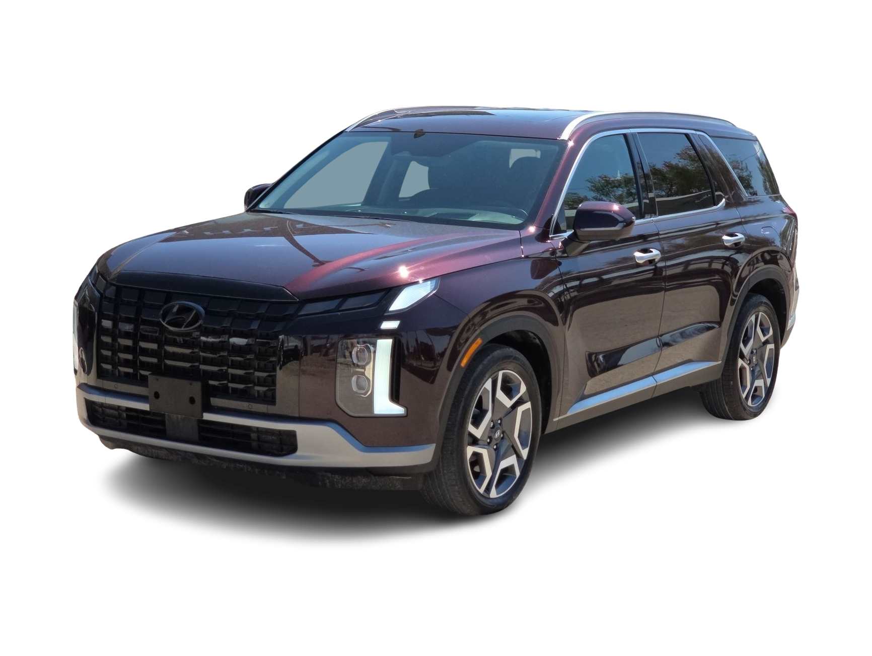 Thumbnail: 2025 Hyundai Palisade - 1