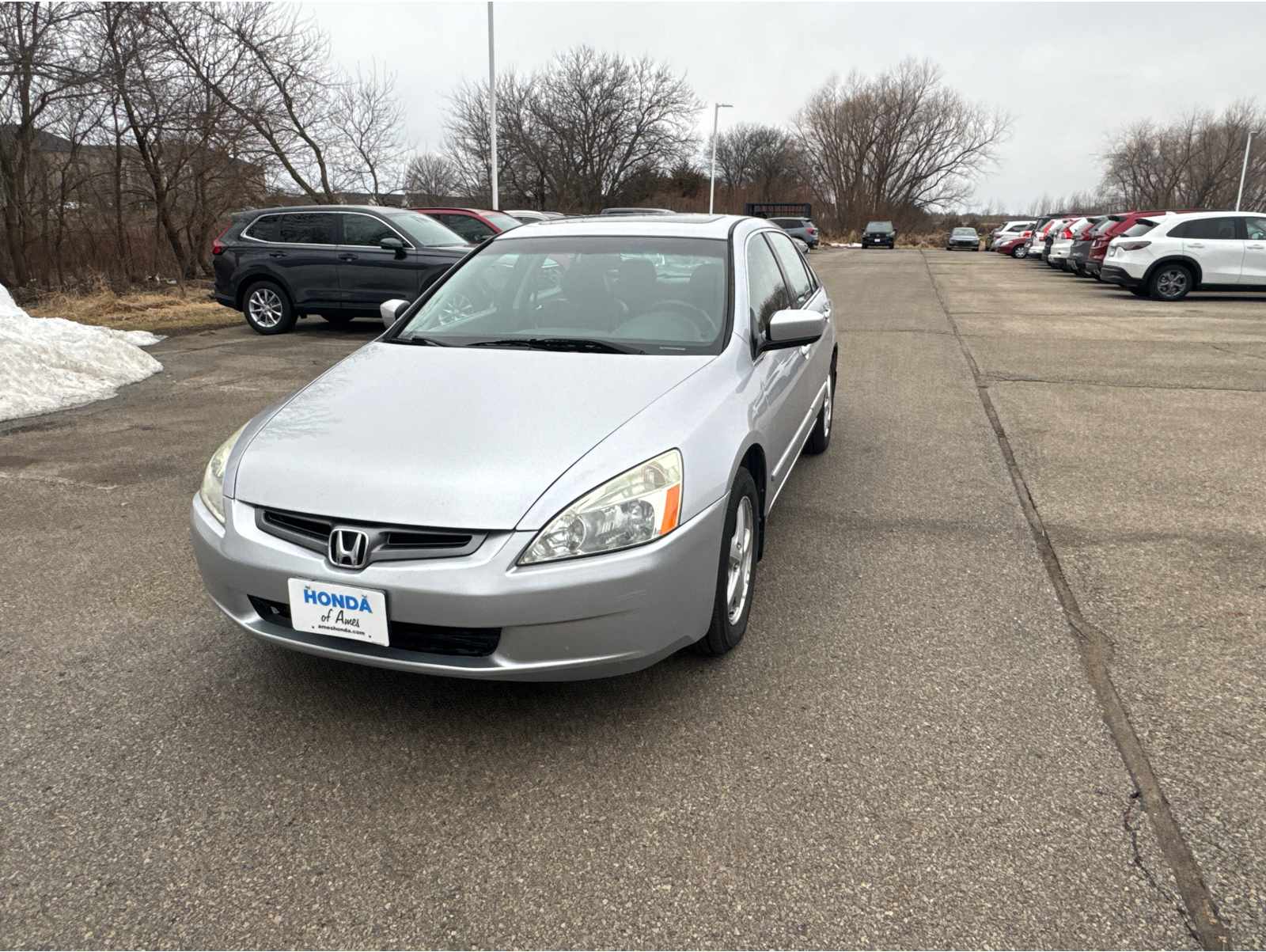 2004 Honda Accord EX's photo