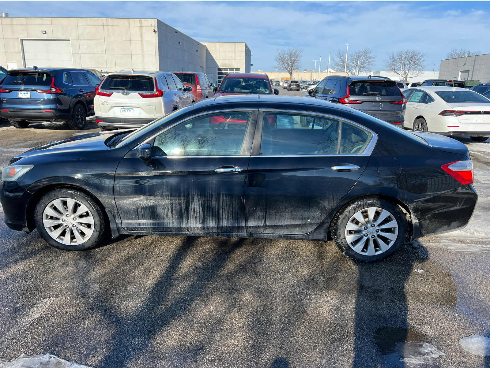 2013 Honda Accord EX-L's photo