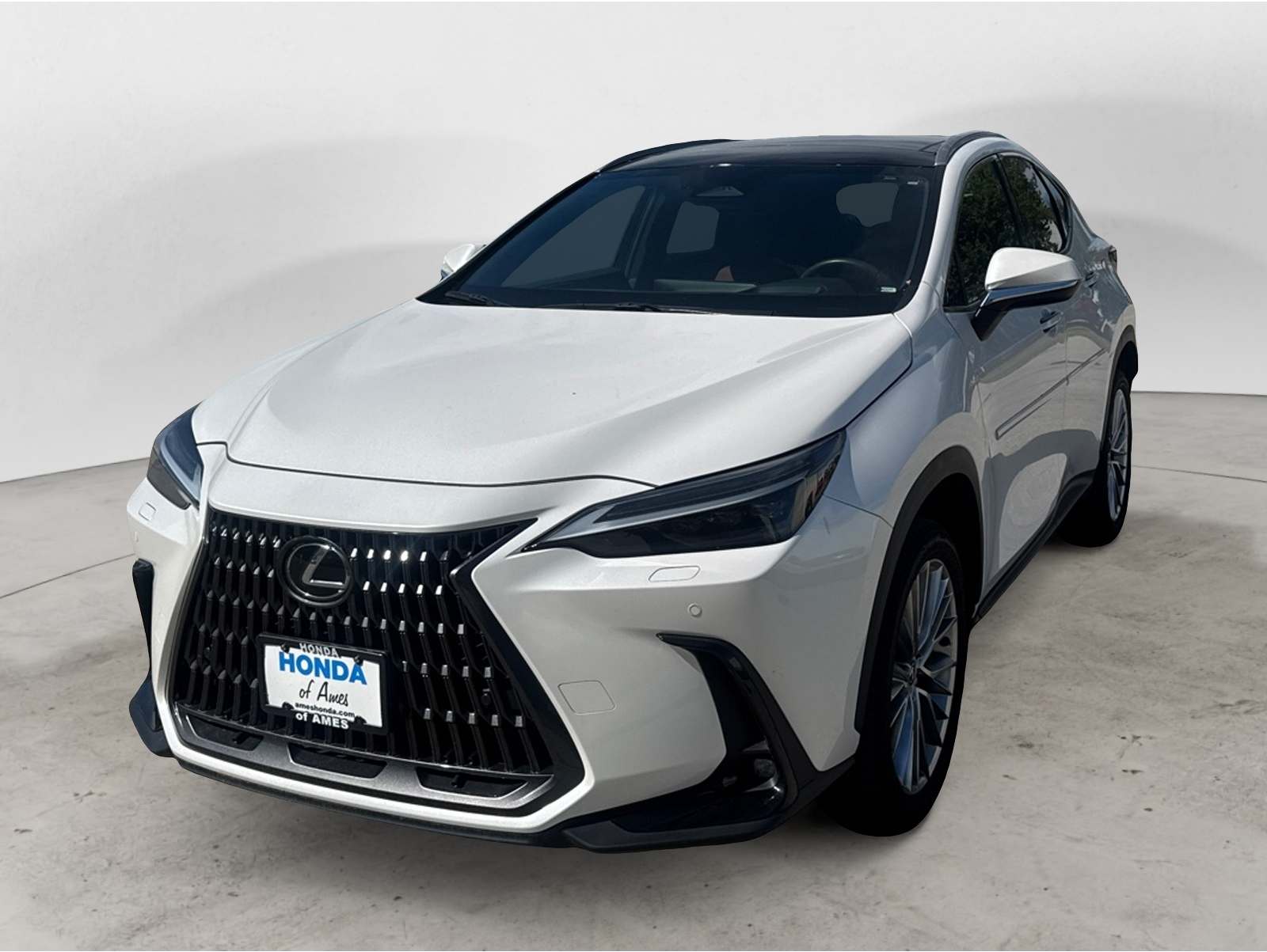 2024 Lexus NX 350