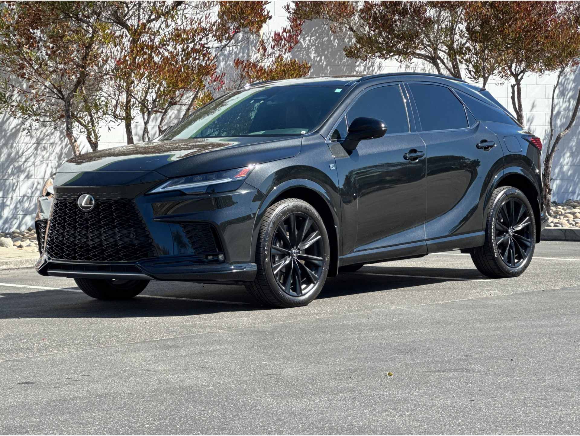 2023 Lexus RX Hybrid 500h's photo