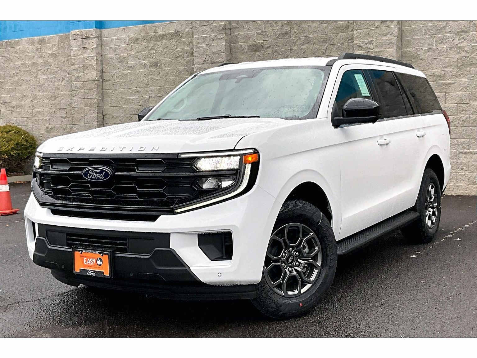 2025 Ford Expedition Active's photo