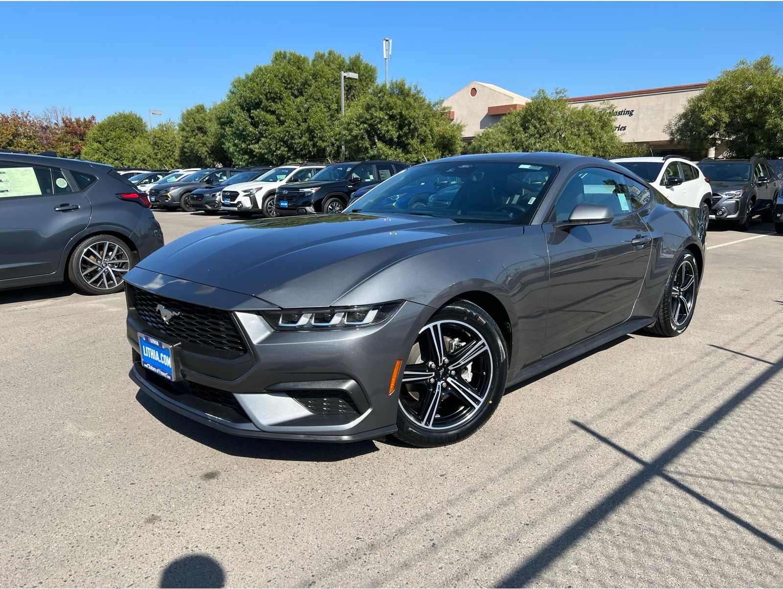 2024 Ford Mustang EcoBoost's photo
