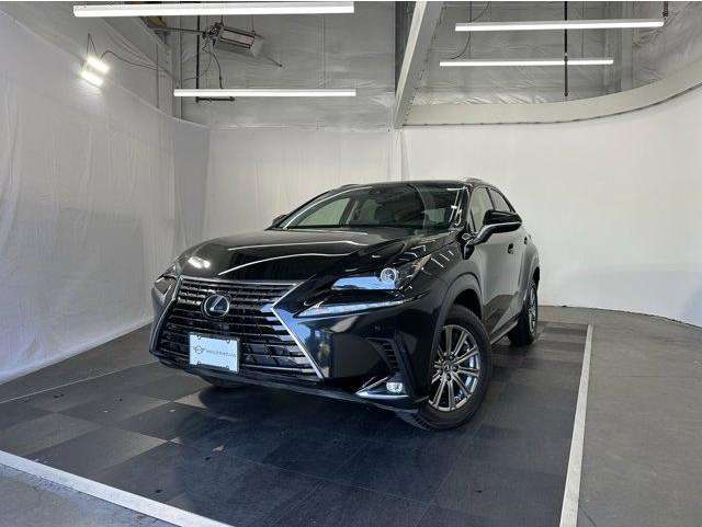 2019 Lexus NX 300's photo