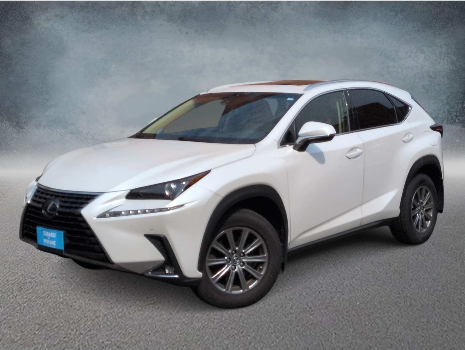 2019 Lexus NX 300's photo