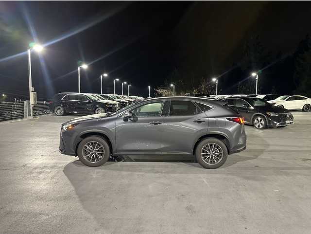 2025 Lexus NX 350's photo