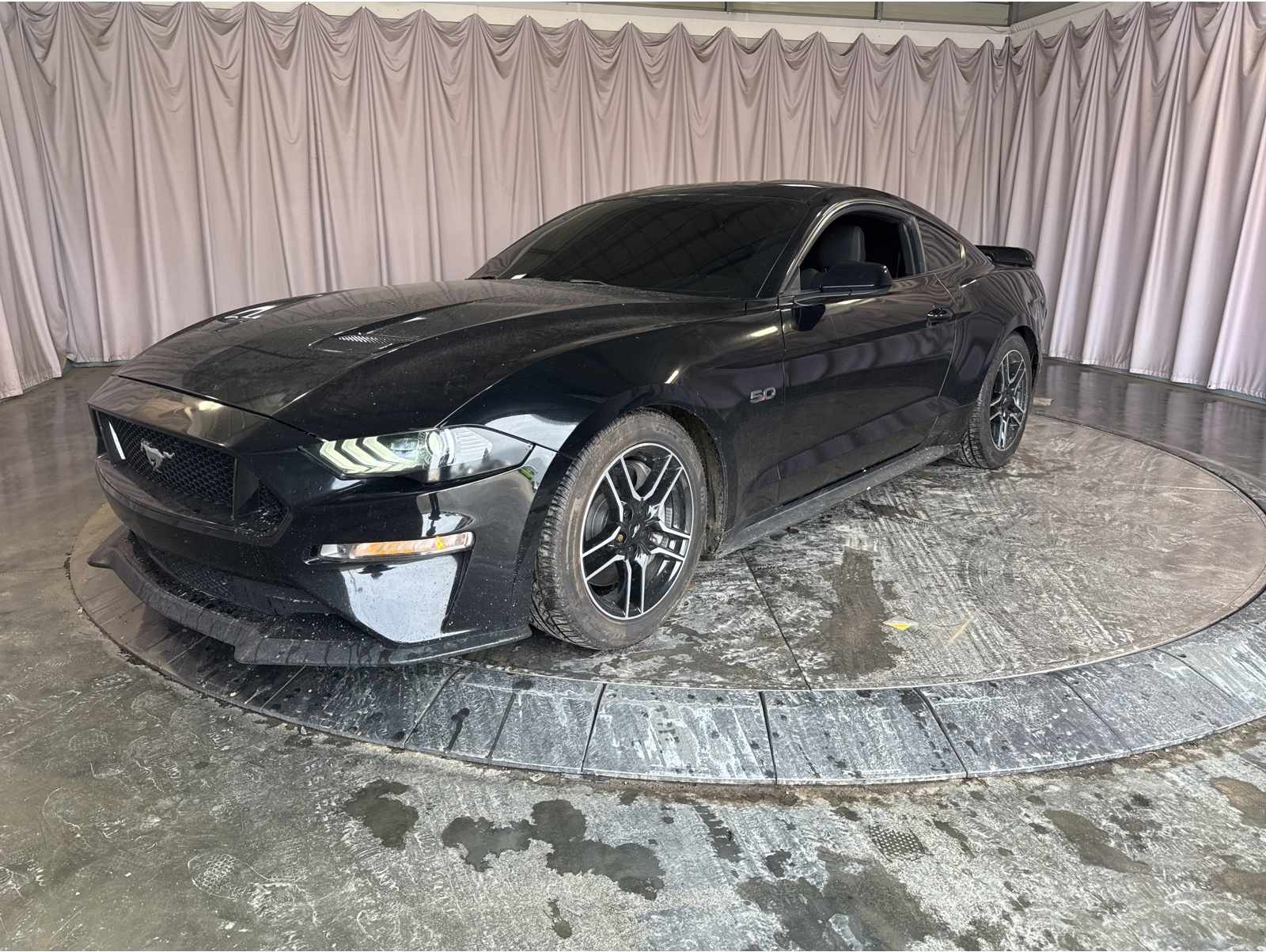 2020 Ford Mustang GT's photo