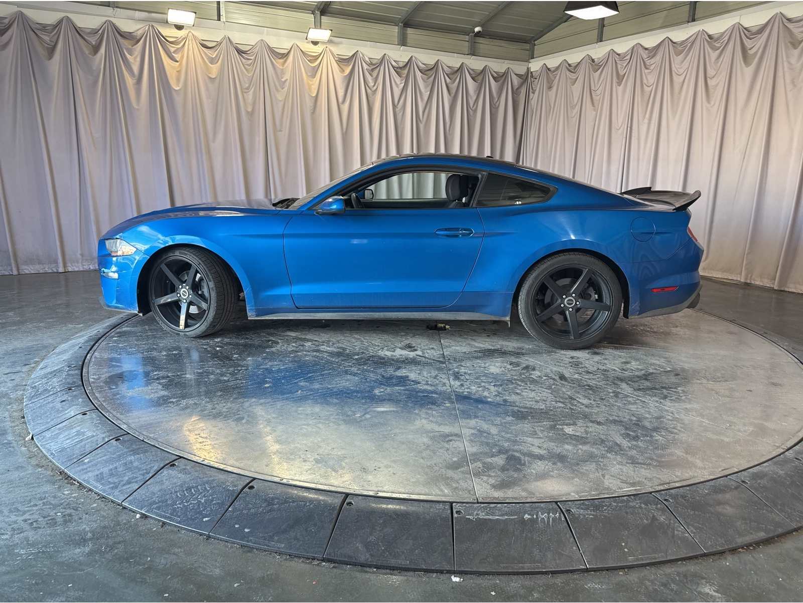 2020 Ford Mustang EcoBoost's photo