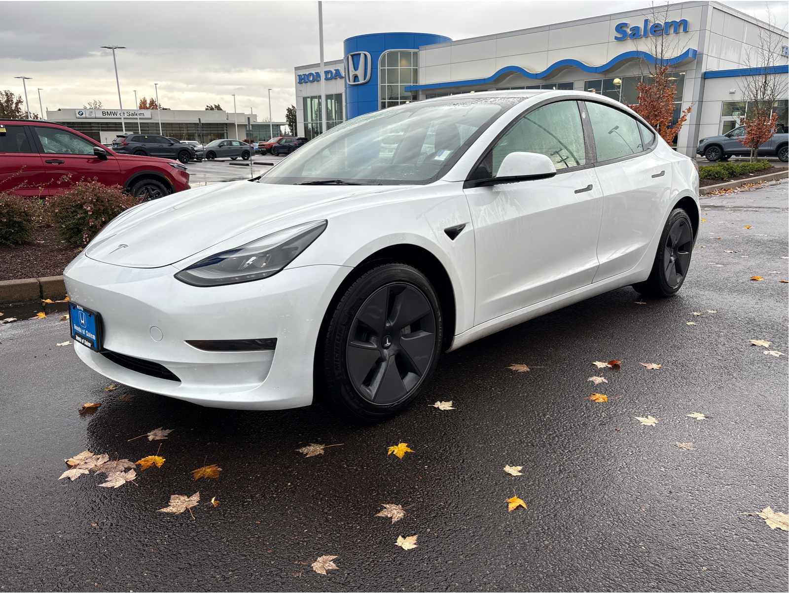 2023 Tesla Model 3 Base's photo