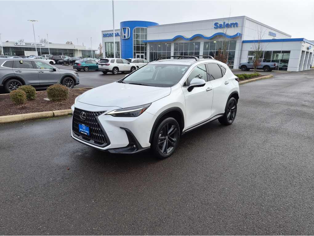 2023 Lexus NX PHEV 450h+'s photo