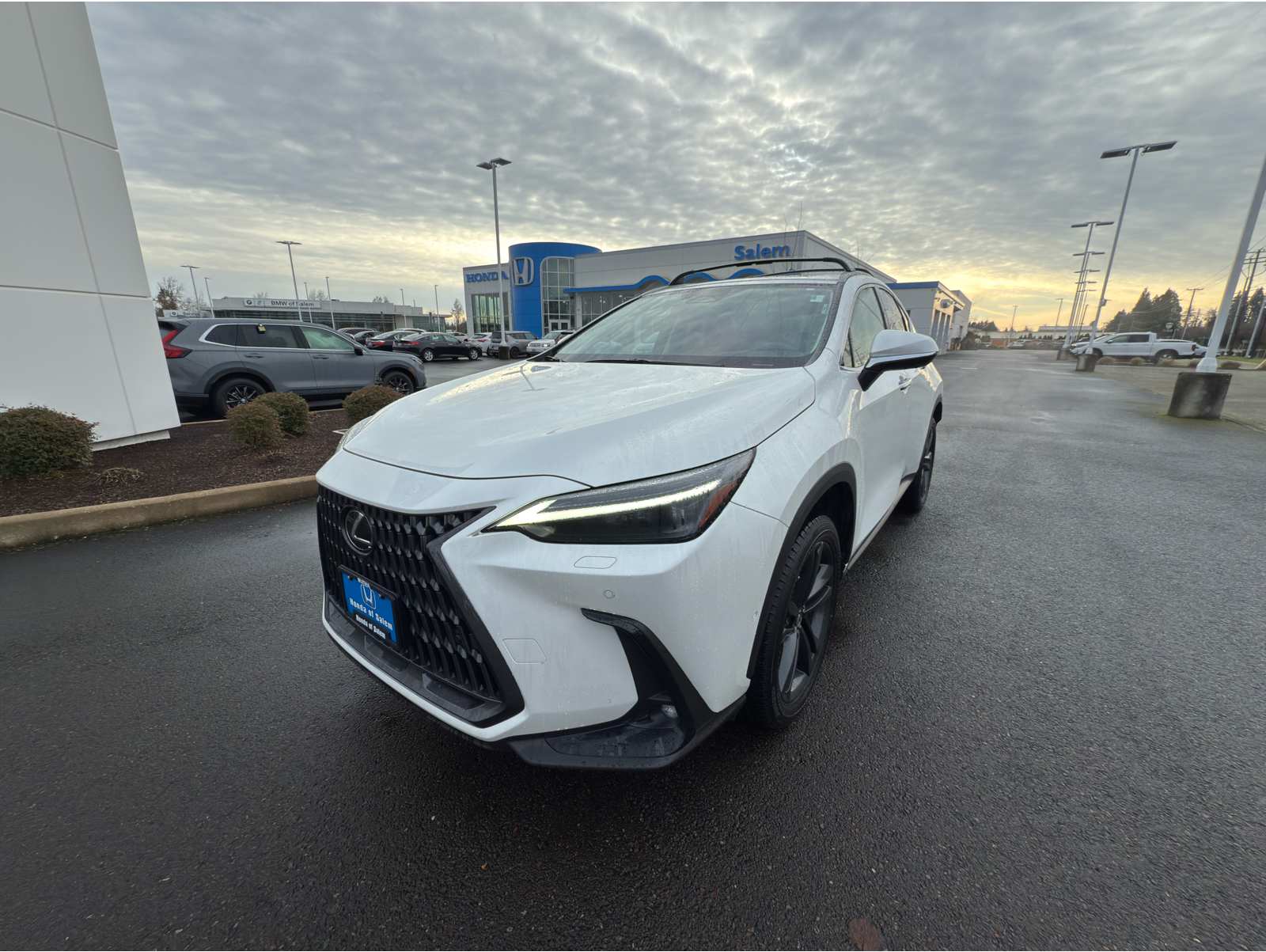 2023 Lexus NX PHEV 450h+'s photo