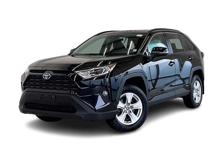 2019 Toyota RAV4 XLE -
                Orchard Park, NY