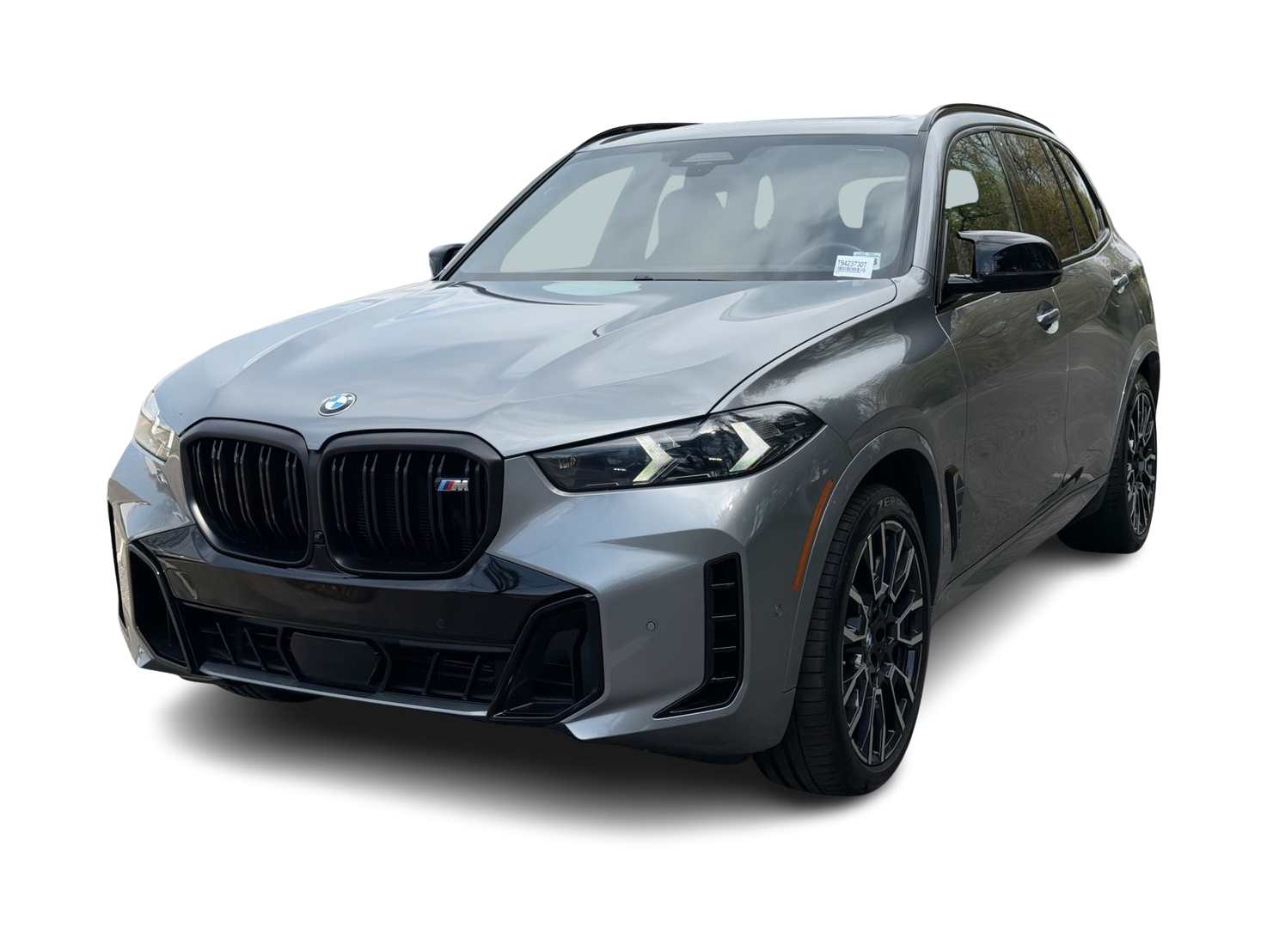 Thumbnail: 2024 BMW X5 - 1