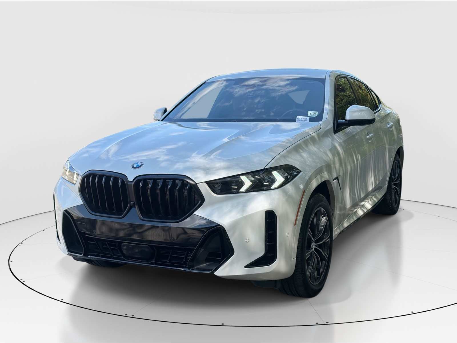2024 BMW X6