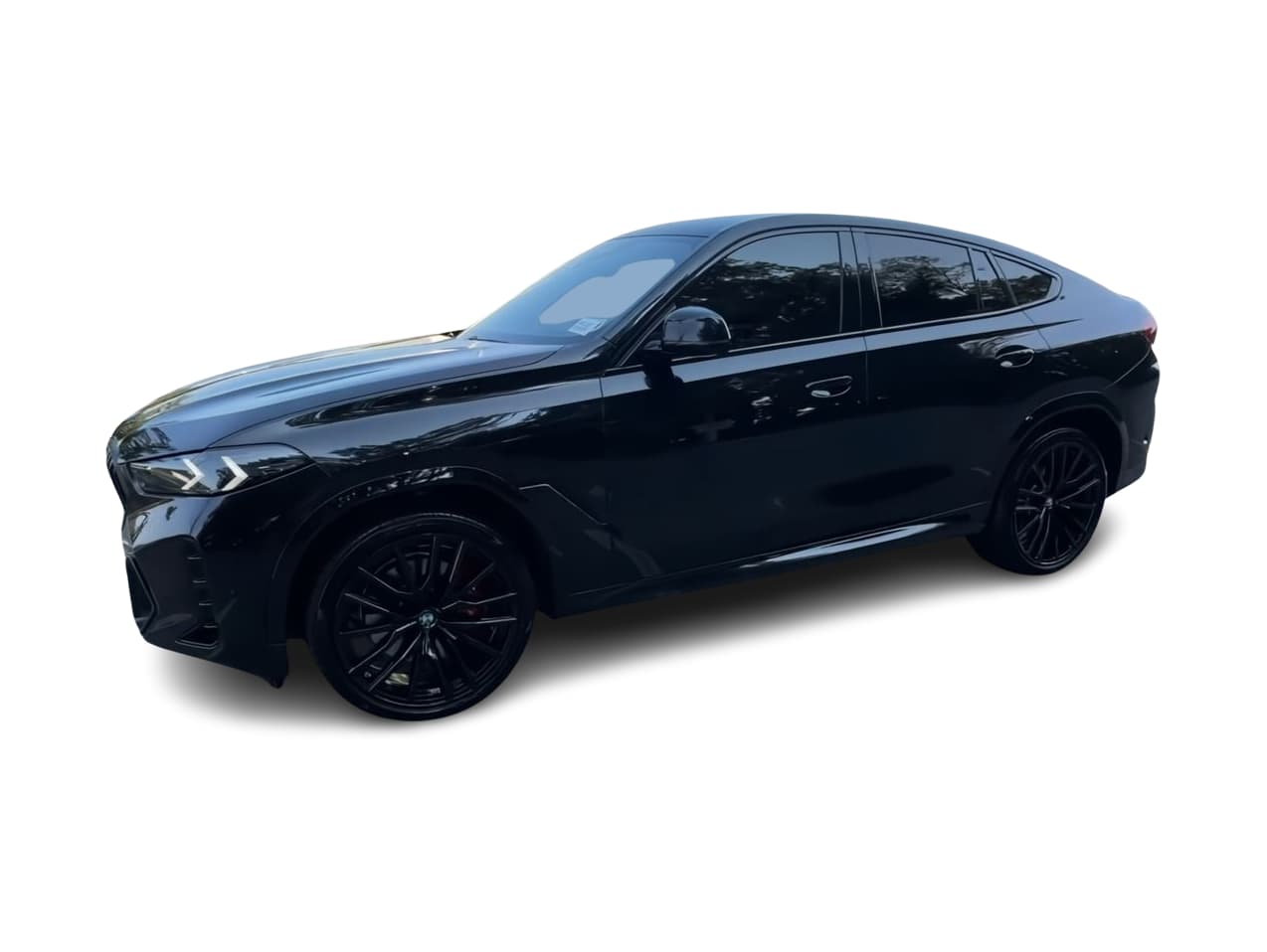Thumbnail: 2025 BMW X6 - 1