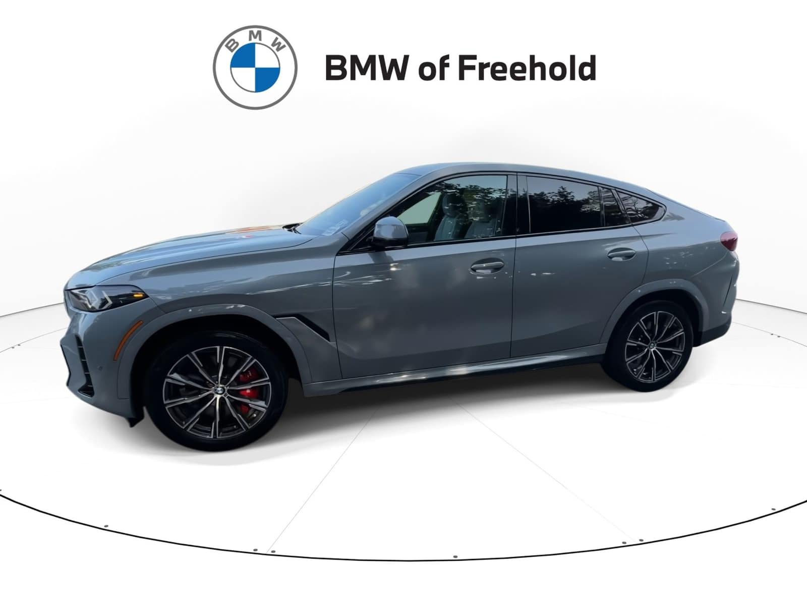 2024 BMW X6