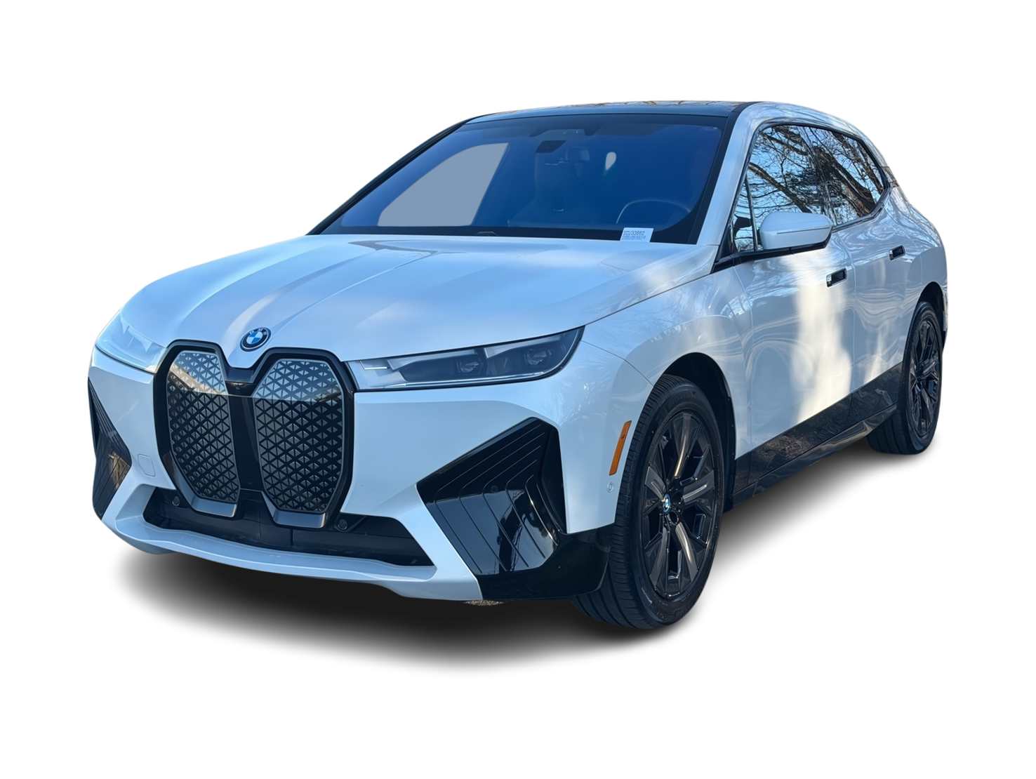 Thumbnail: 2025 BMW iX - 1