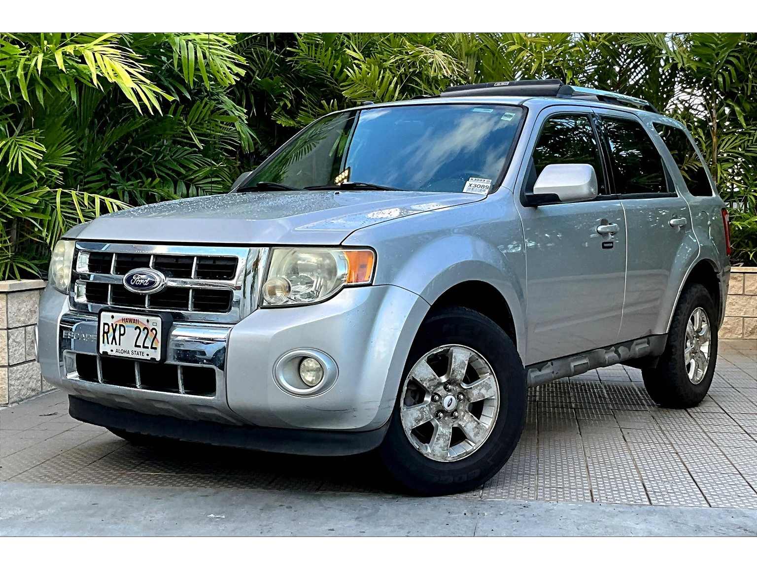 2010 Ford Escape Limited