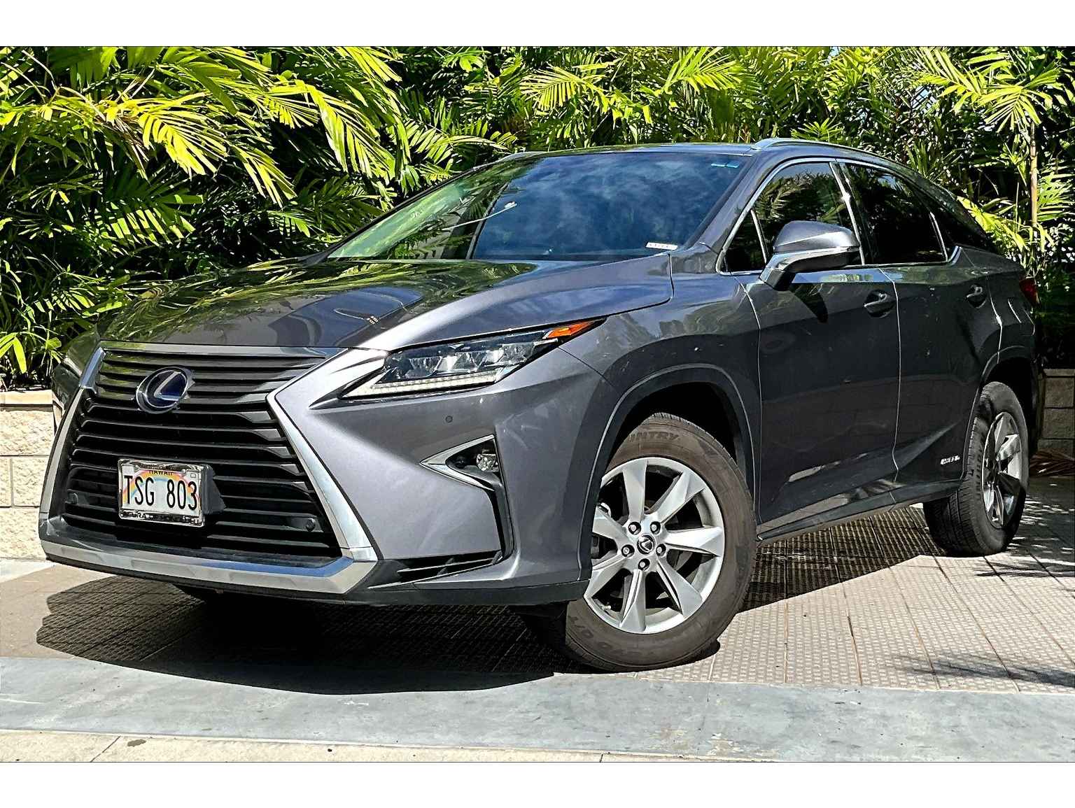 2018 Lexus RX 450h's photo