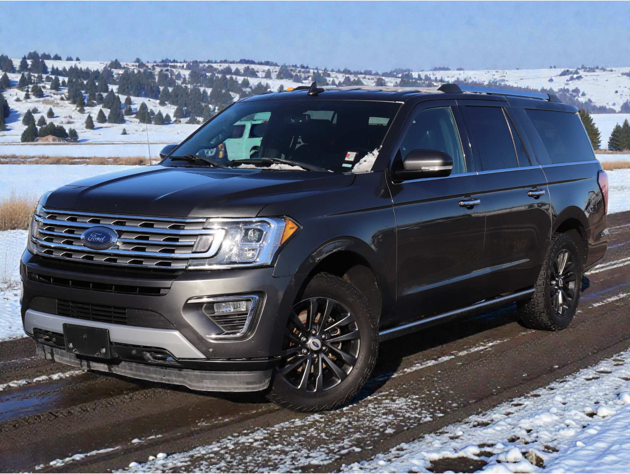 2019 Ford Expedition Limited's photo